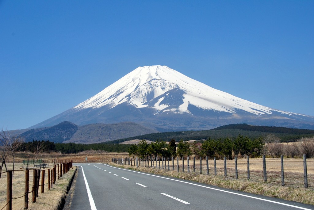 富士の裾野