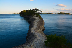 馬の背松島①