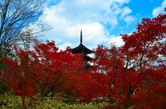 定義山