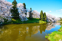 霞城公園⑤