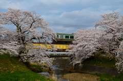 藤田川⑥