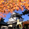 岡崎城①