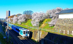 霞城公園