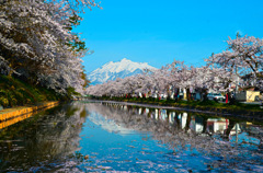 弘前公園2015⑫