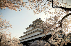 鶴ヶ城2015⑥