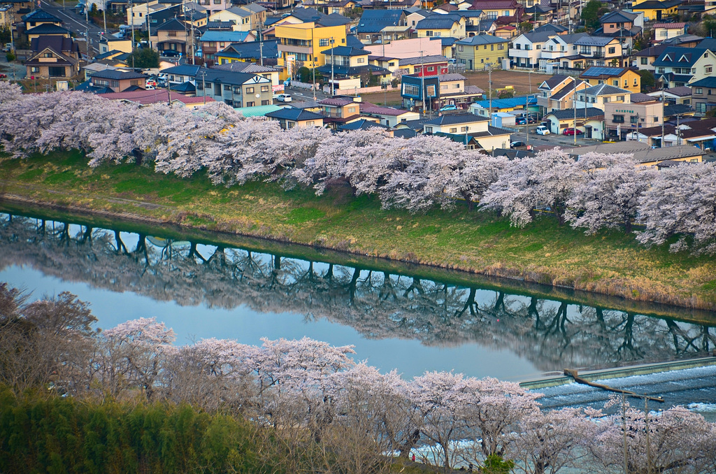 一目千本桜2018①
