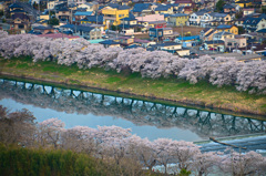 一目千本桜2018①