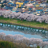 一目千本桜2018①