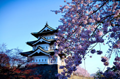弘前公園2015⑩