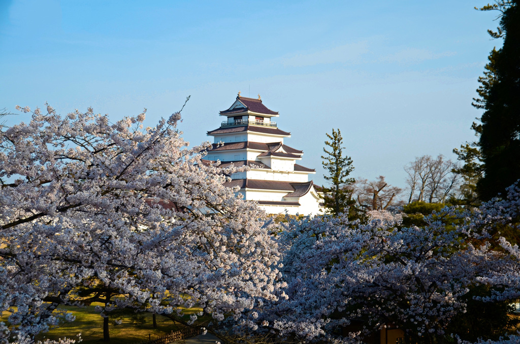 鶴ヶ城2015③