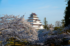 鶴ヶ城2015③