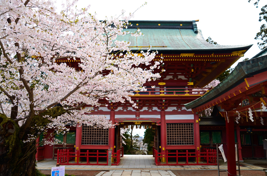 塩竃神社2015