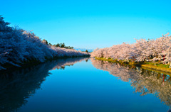 弘前公園2015⑤