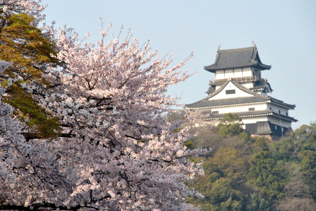 犬山城1