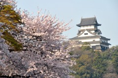 犬山城1
