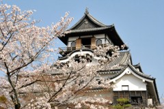 犬山城2