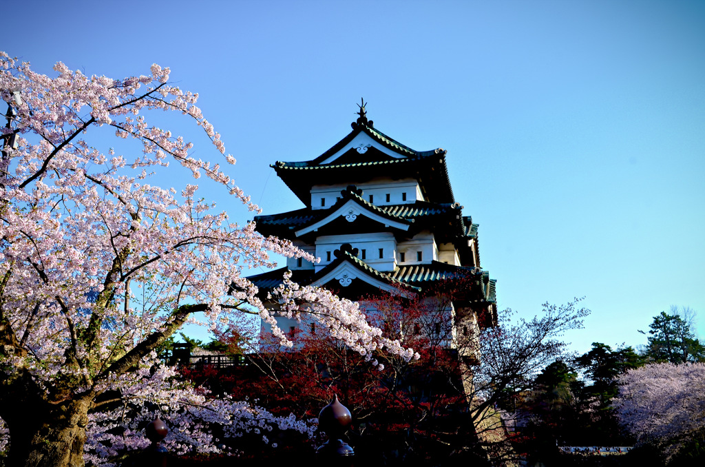 弘前公園2015⑨