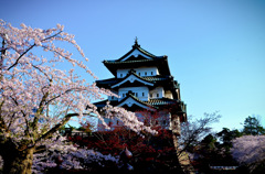 弘前公園2015⑨