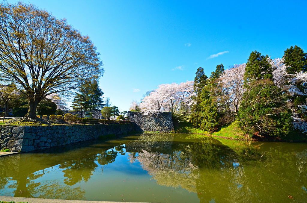 霞城公園⑥