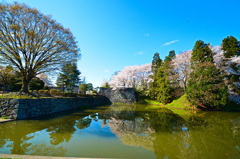 霞城公園⑥