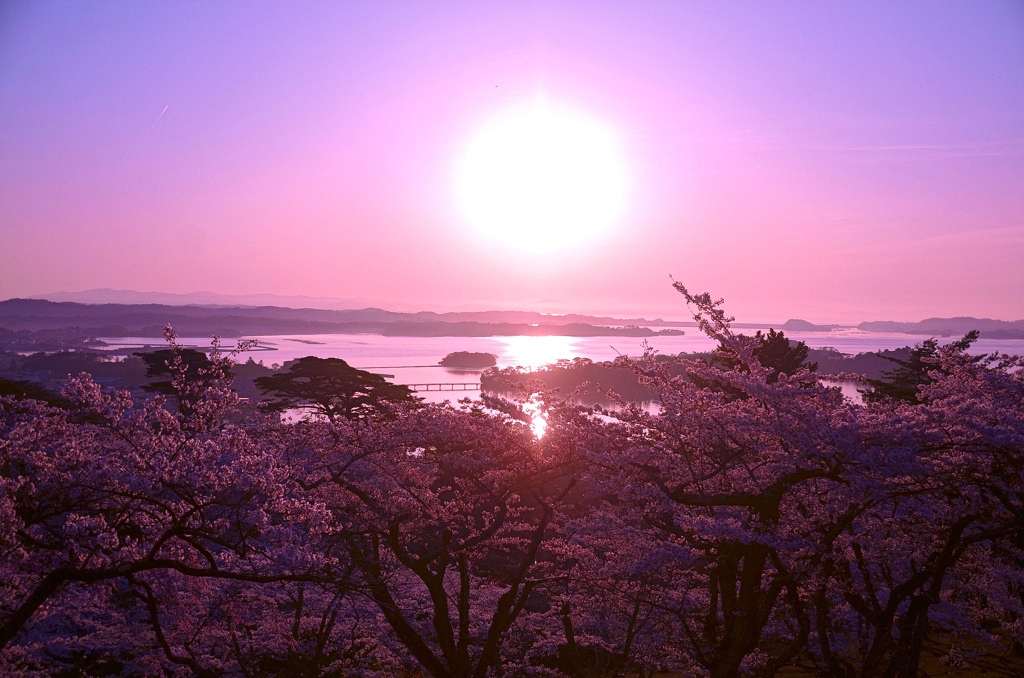 松島2022②