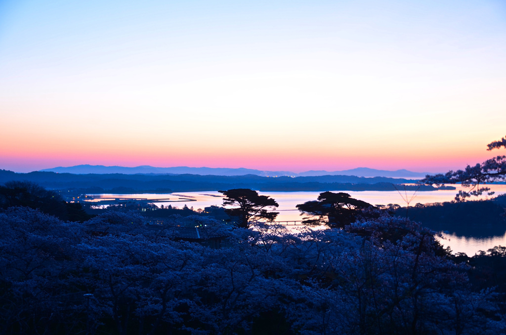 松島2022③