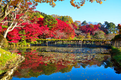 霞ヶ城公園