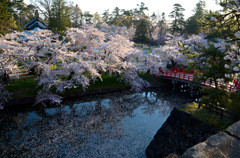 弘前公園2015④