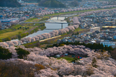 一目千本桜2018③