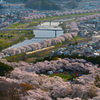 一目千本桜2018③