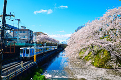 霞城公園③