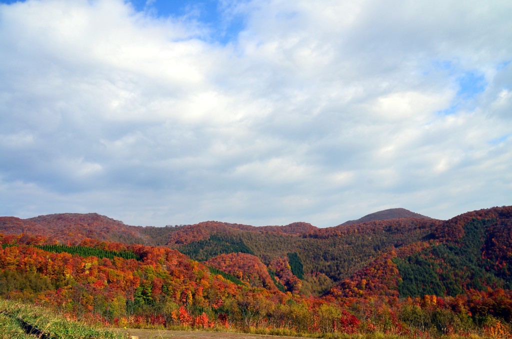泉が岳からの紅葉5
