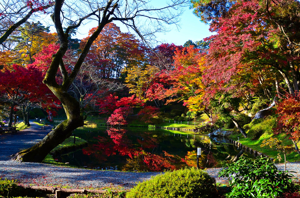 霞ヶ城公園⑤