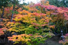 香嵐溪⑪