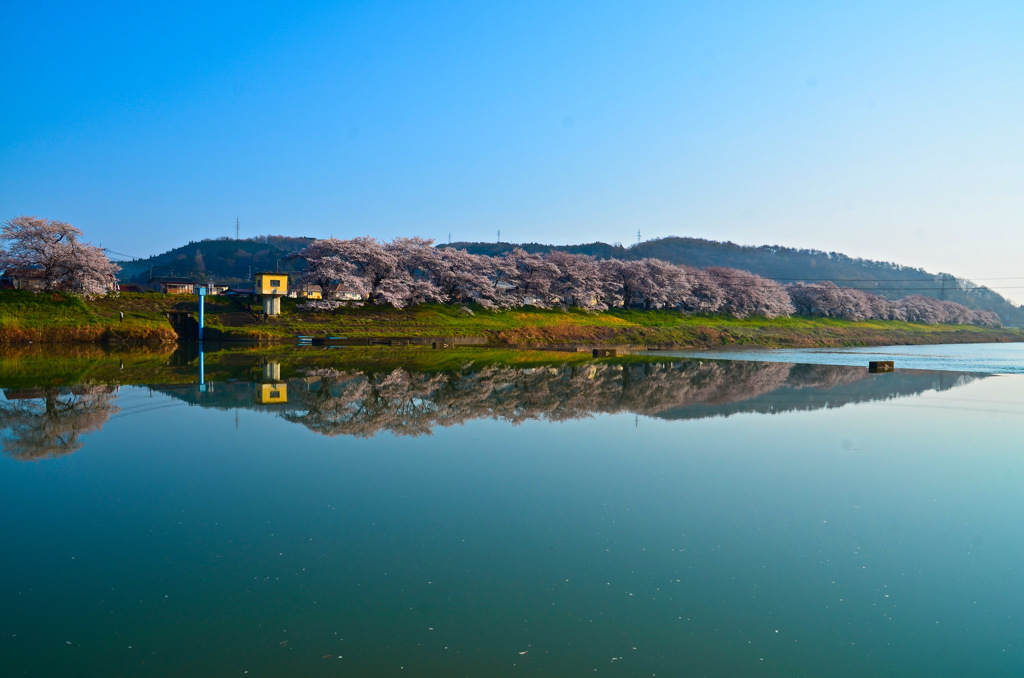 一目千本桜2015①
