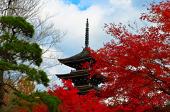 定義山④