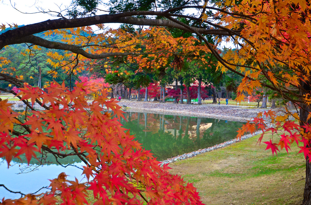 毛越寺②