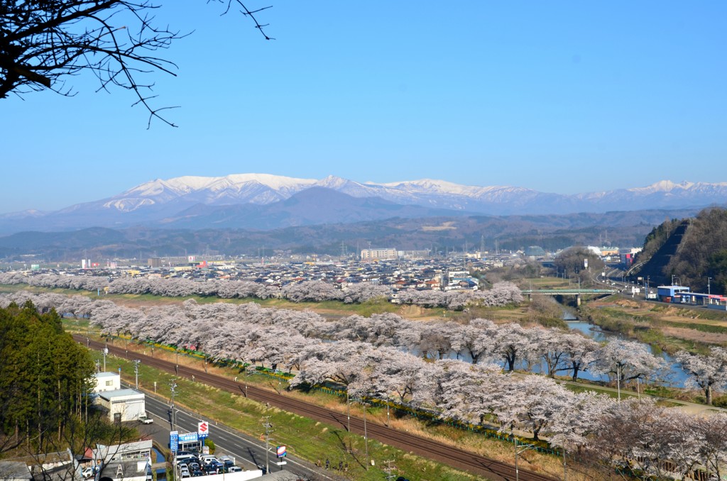 白石川千本桜⑩