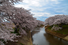 藤田川②