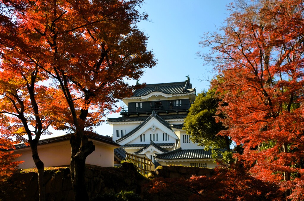 岡崎城③