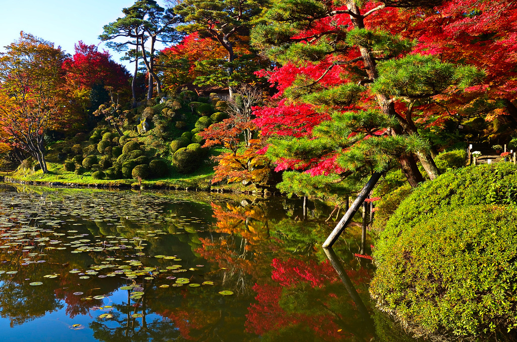 霞ヶ城公園②
