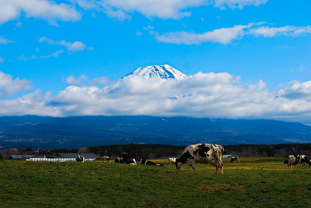 富士山①