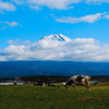 富士山①