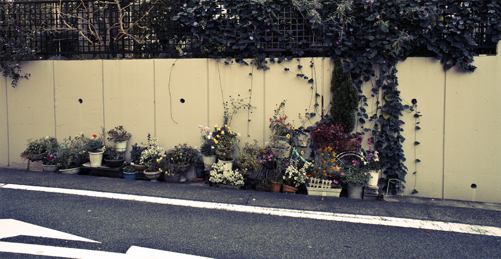 道のそばの庭園