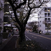夕方の通り