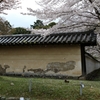 花びら