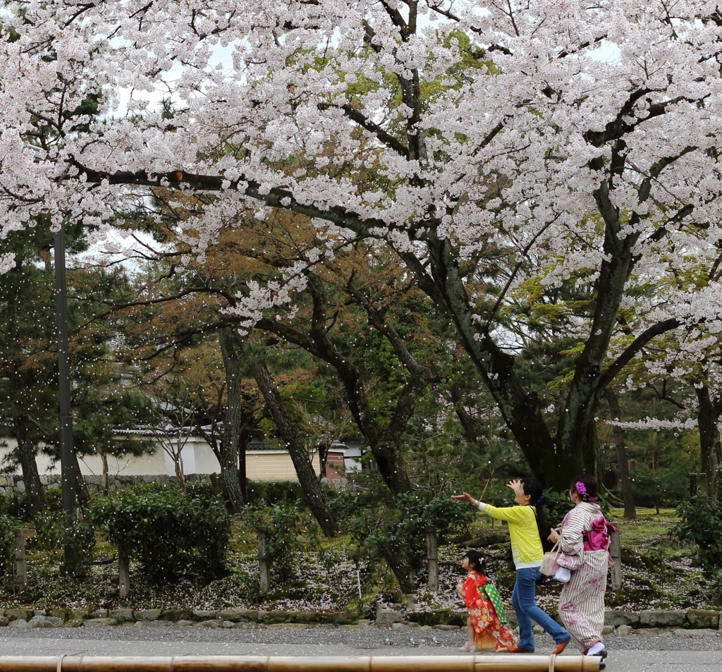花散らし