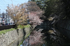 水鏡に映して、