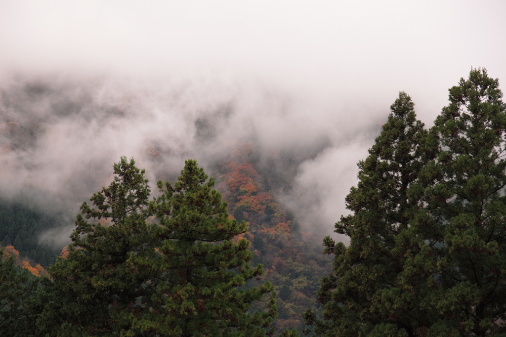 秋の山