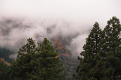 秋の山